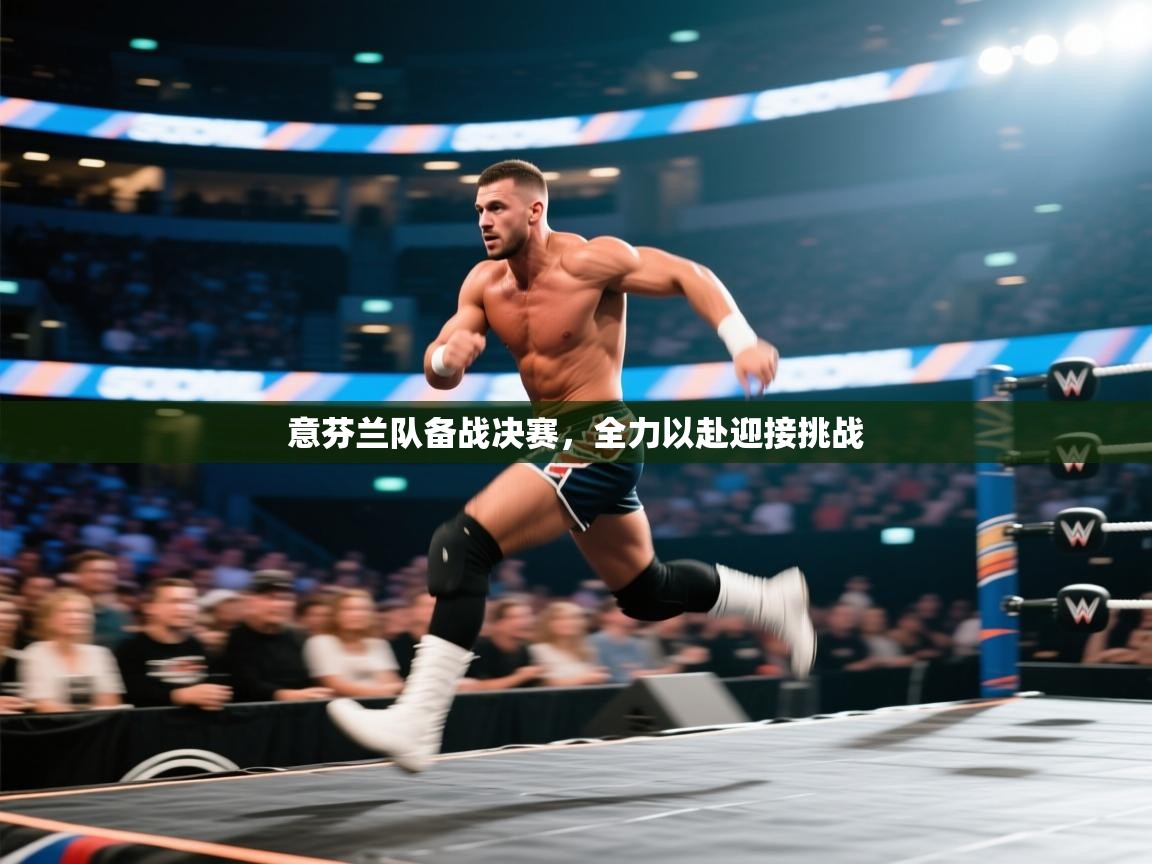 意芬兰队备战决赛，全力以赴迎接挑战  第1张
