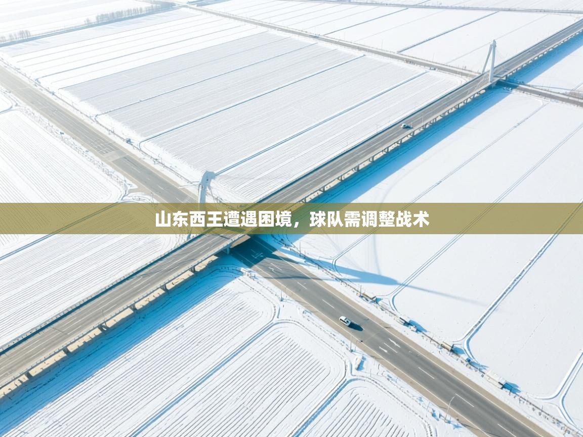 山东西王遭遇困境，球队需调整战术  第1张